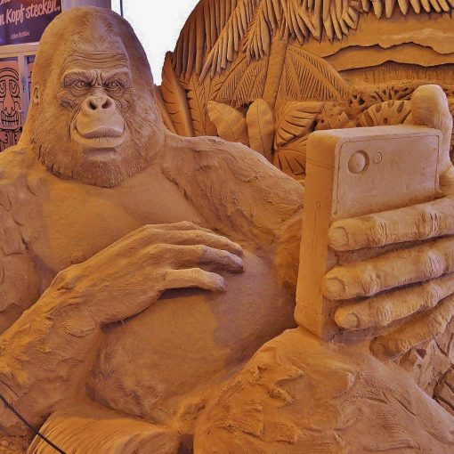 Sand Gorilla