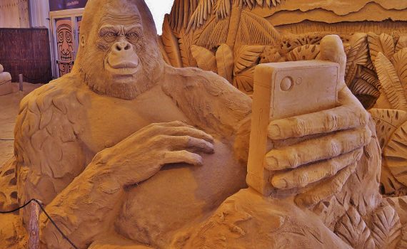 Sand Gorilla